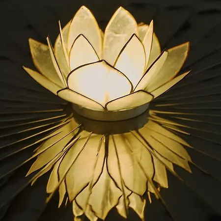 White Lotus Apartment Vídeň Exteriér fotografie